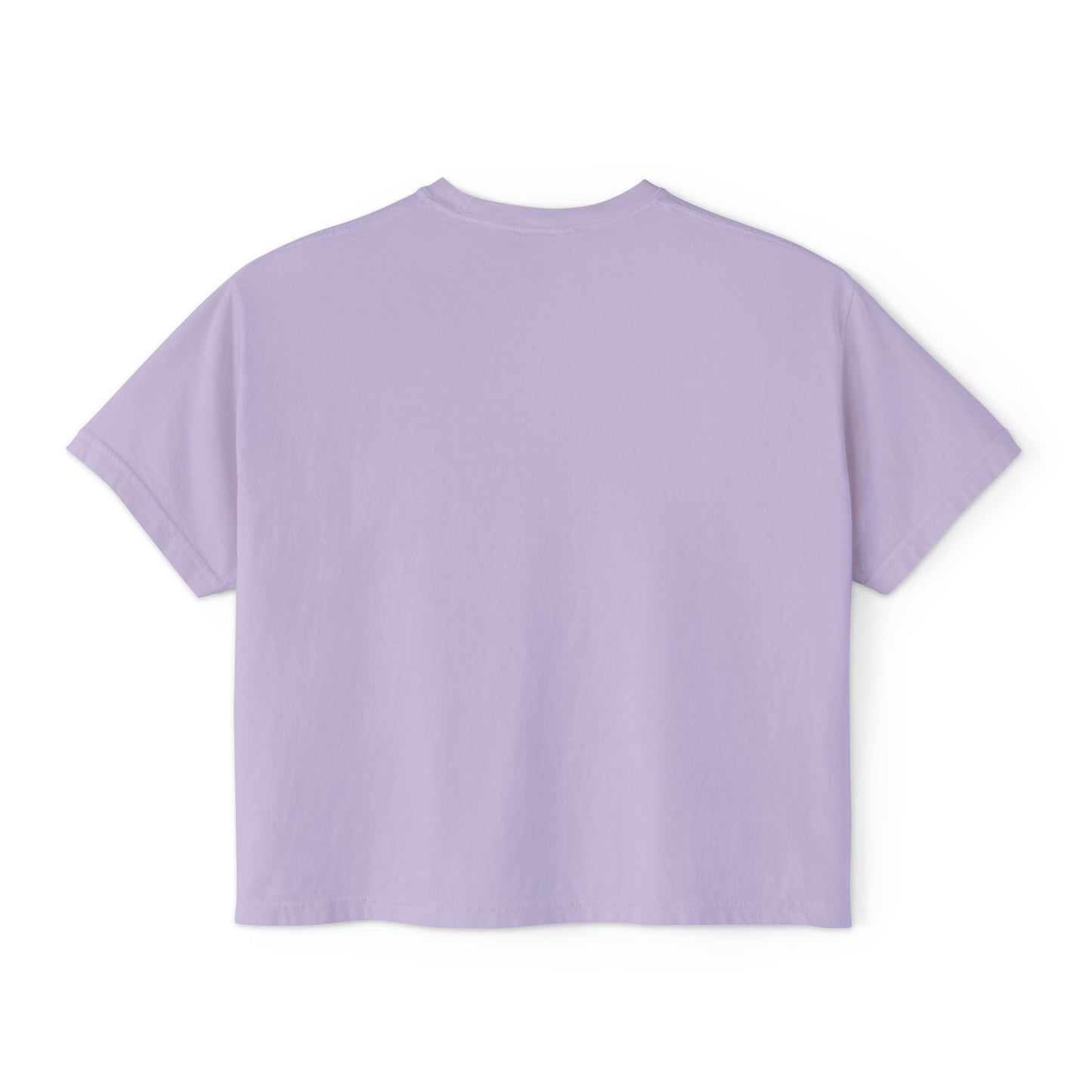 Matzah Ball Baseball Soup Comfort Colors Boxy Tshirt