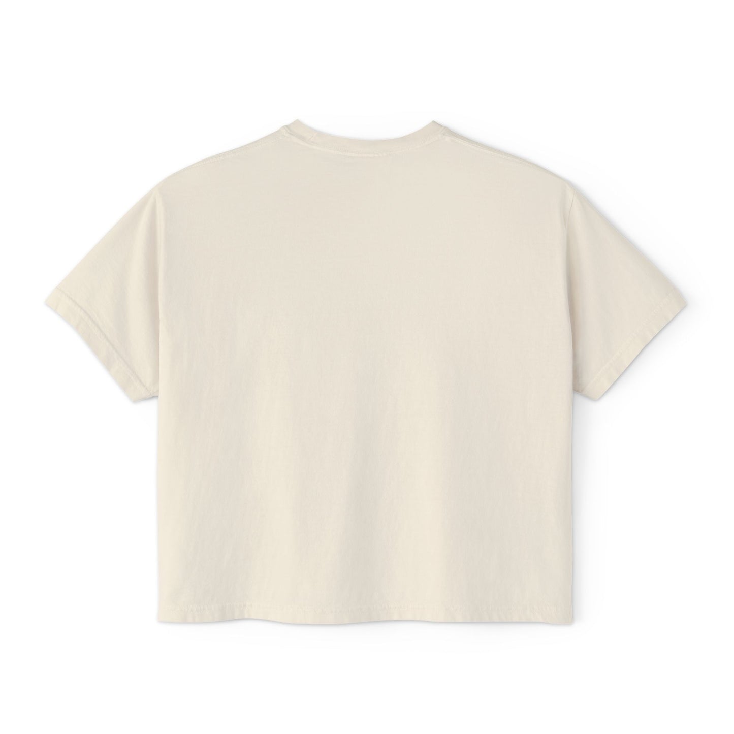 Matzah Ball Baseball Soup Comfort Colors Boxy Tshirt