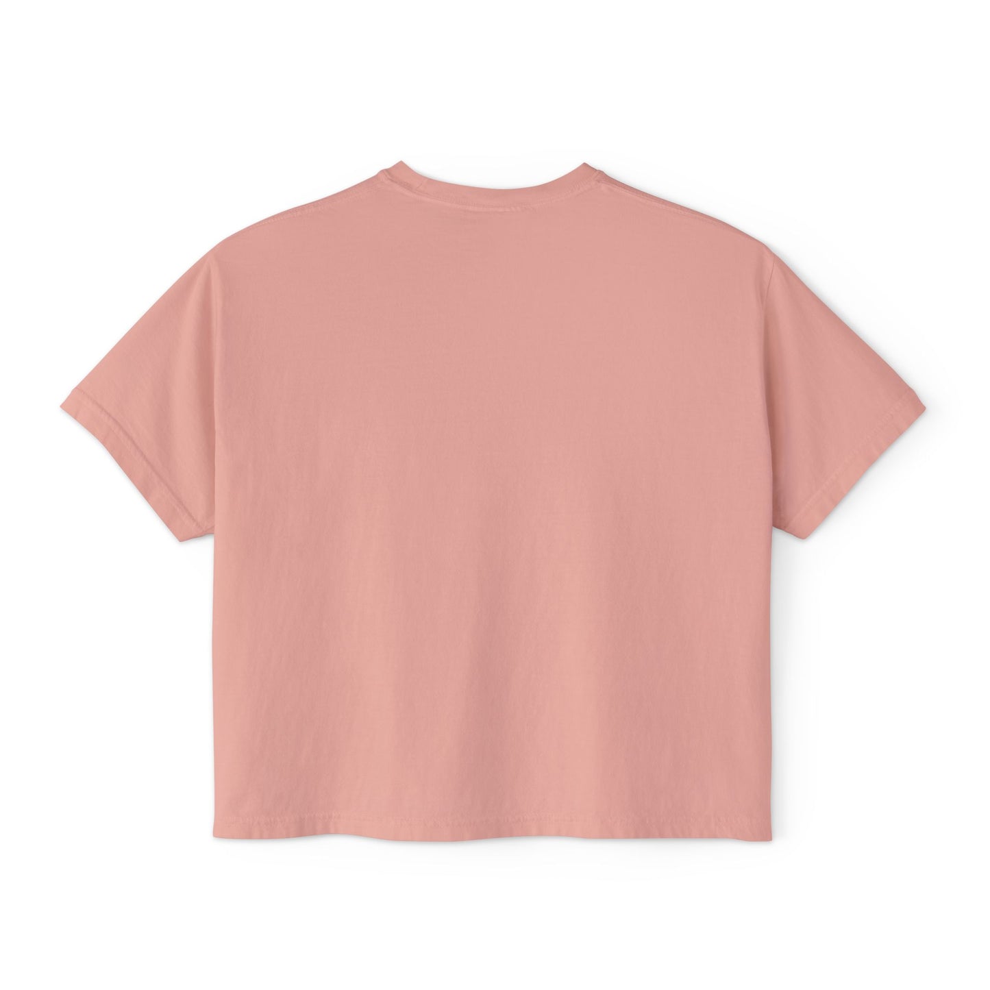 Matzah Ball Baseball Soup Comfort Colors Boxy Tshirt