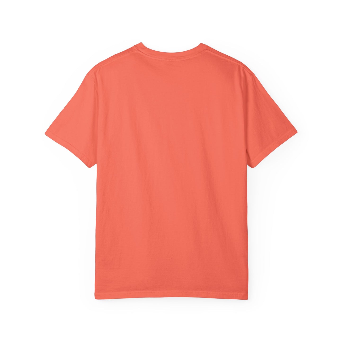 Tot Shabbat Dinosaur Adult TShirt