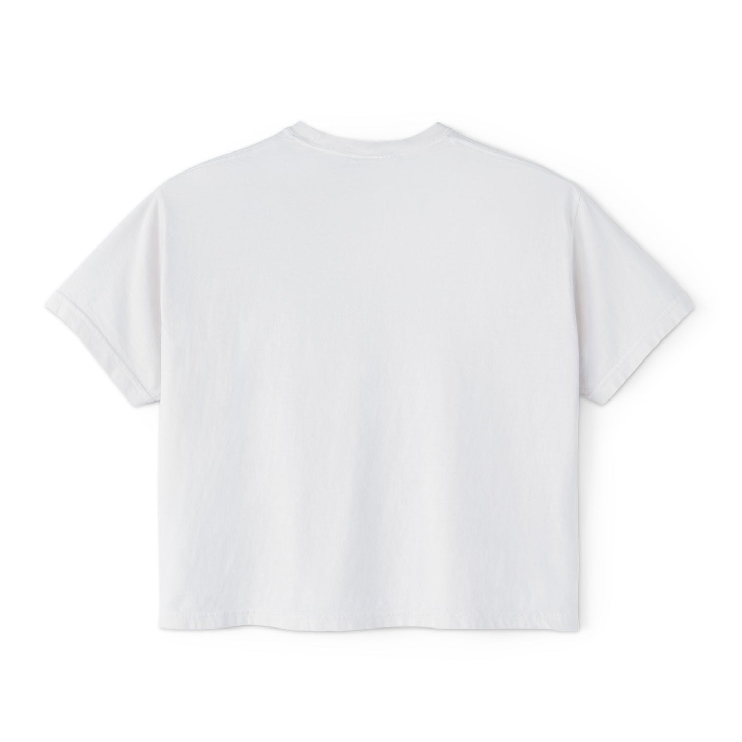 Matzah Ball Baseball Soup Comfort Colors Boxy Tshirt